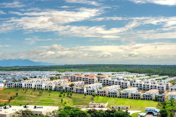 Chien détecteur de punaises de lit : combien investir pour votre confort ?